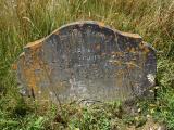 image of grave number 687869